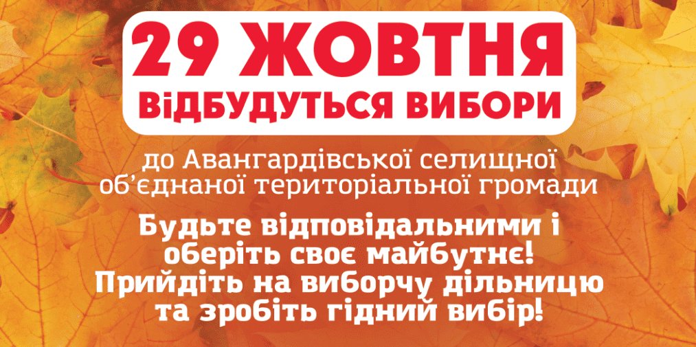 выборы в сельсовет