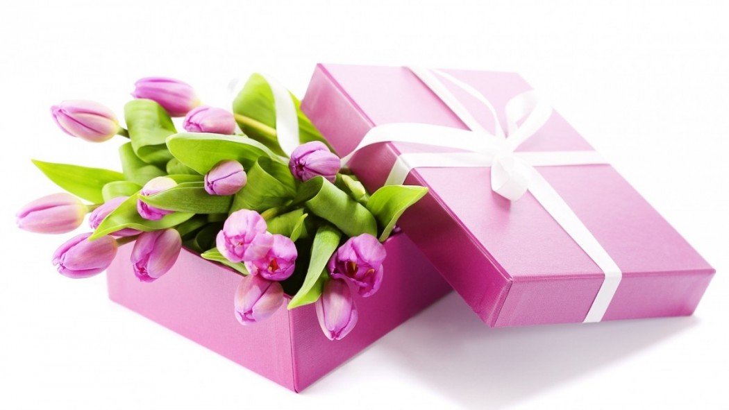 8 march